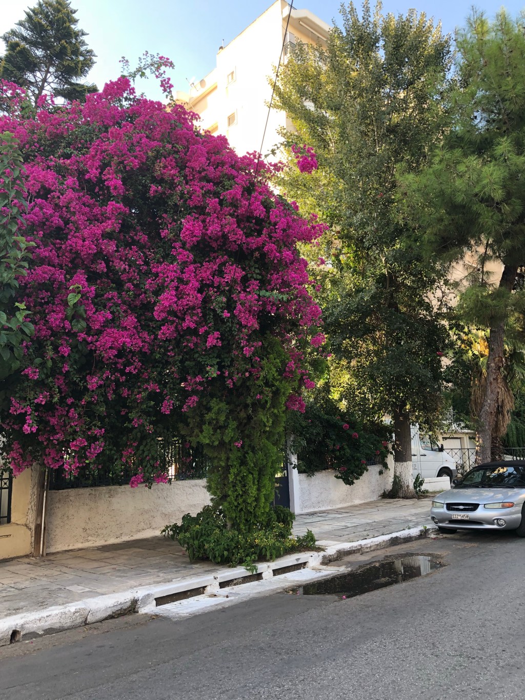 Here’s to a great&nbsp;week